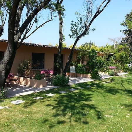 Bed and Breakfast Mas La Provence LʼIsle-sur-la-Sorgue Esterno foto