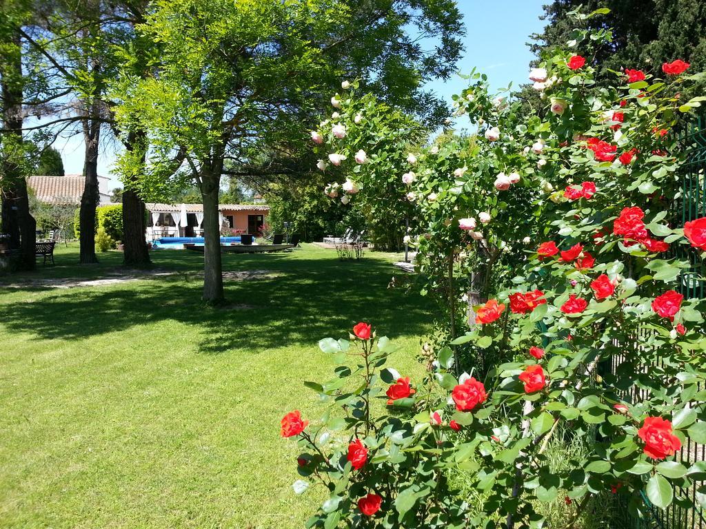 Bed and Breakfast Mas La Provence LʼIsle-sur-la-Sorgue Esterno foto